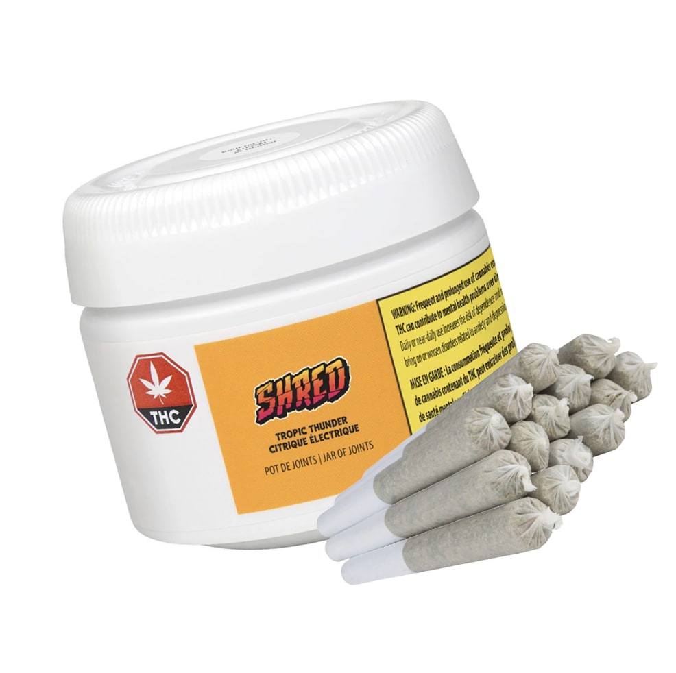 Tropic Thunder J's 14x0.5g by Shred